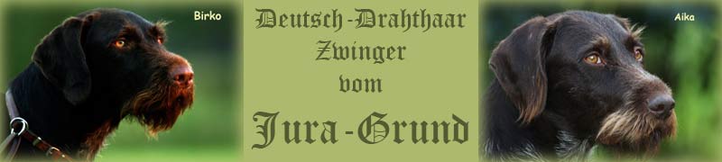 logo DD-Zwinger vom JuraGrund